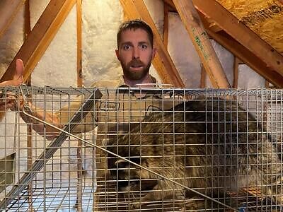 San Jose pest control